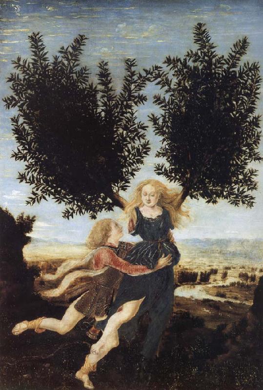 Antonio Pollaiuolo Apollo and Daphne oil painting image